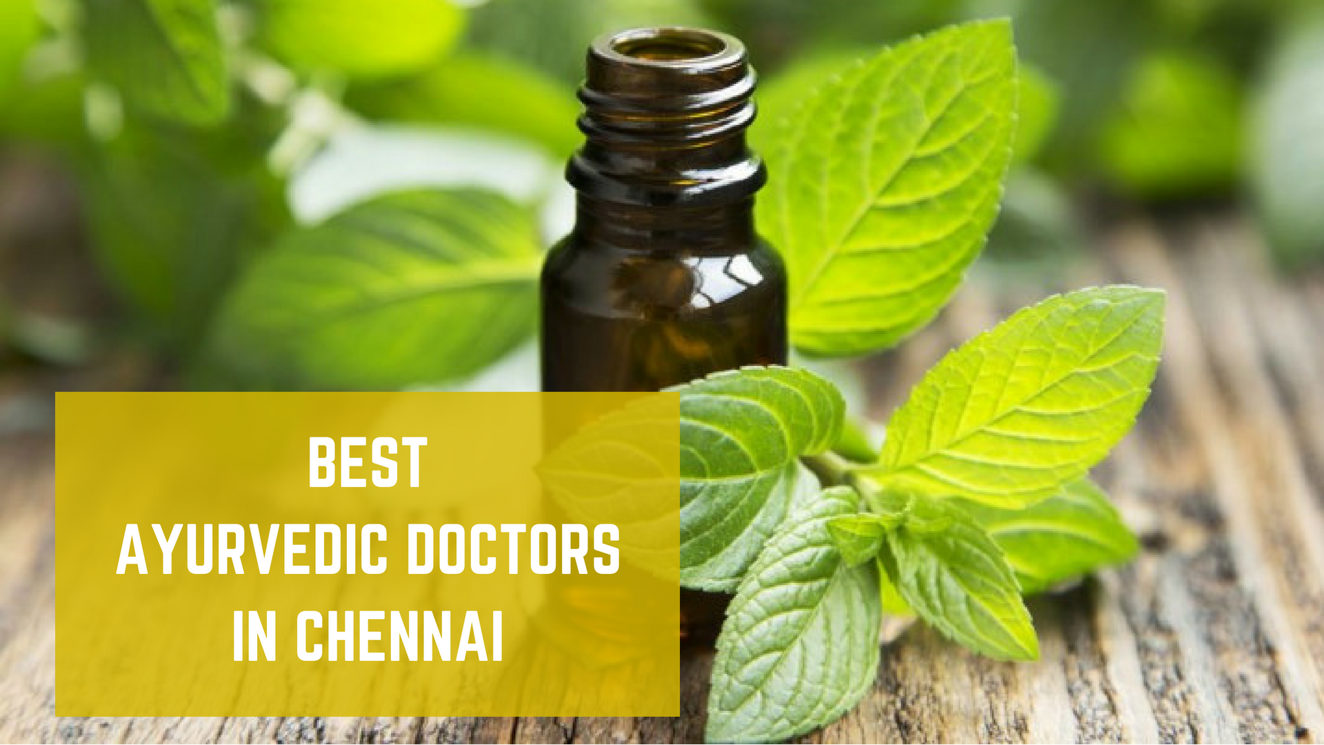 Top 10 Best Ayurvedic Doctors in Chennai List 2021 Essencz